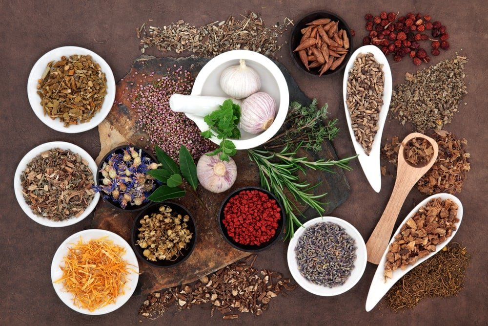 Herbal Treatment for Female Infertility – Natural Remedies