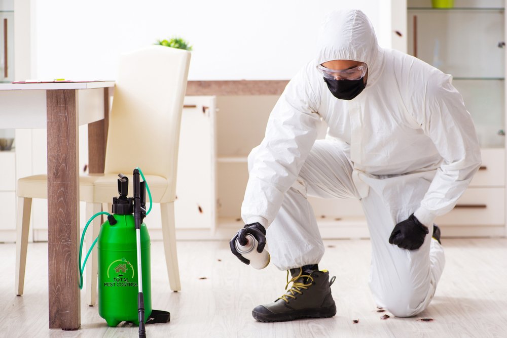 pest-control-surrey-bc