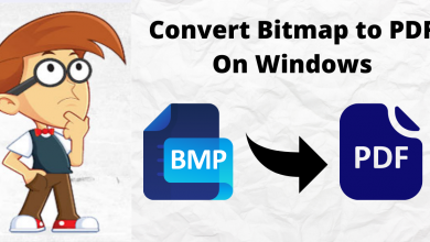 Convert Bitmap to PDF On Windows