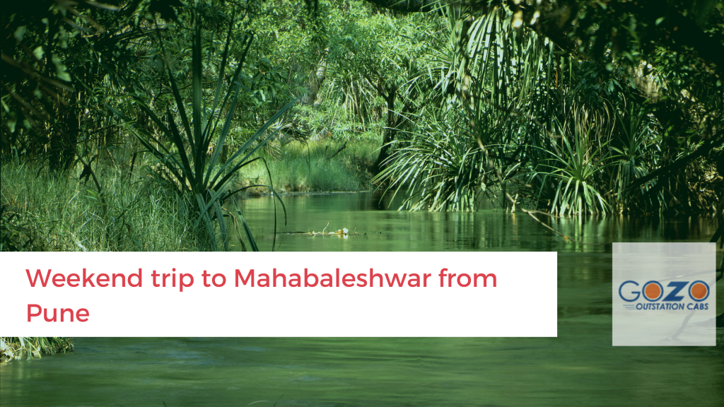 Pune to Mahabaleshwar weekend trip