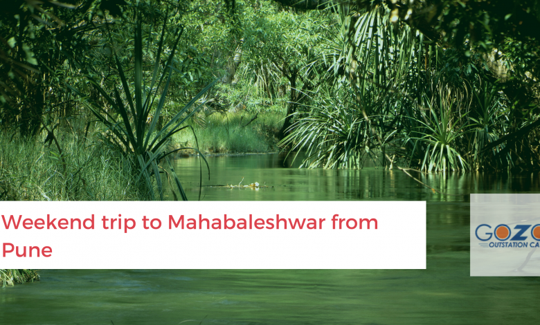 Pune to Mahabaleshwar weekend trip