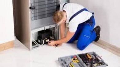 Five common refrigerator Appliance Repair Edmonton problems