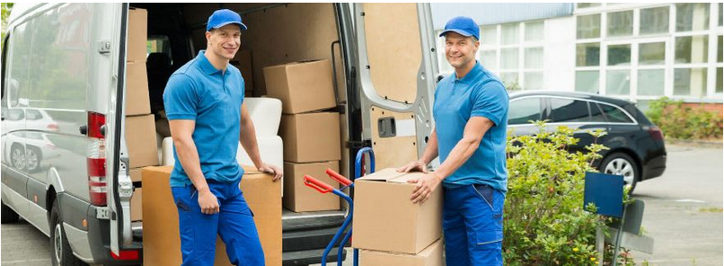 Movers in Perth