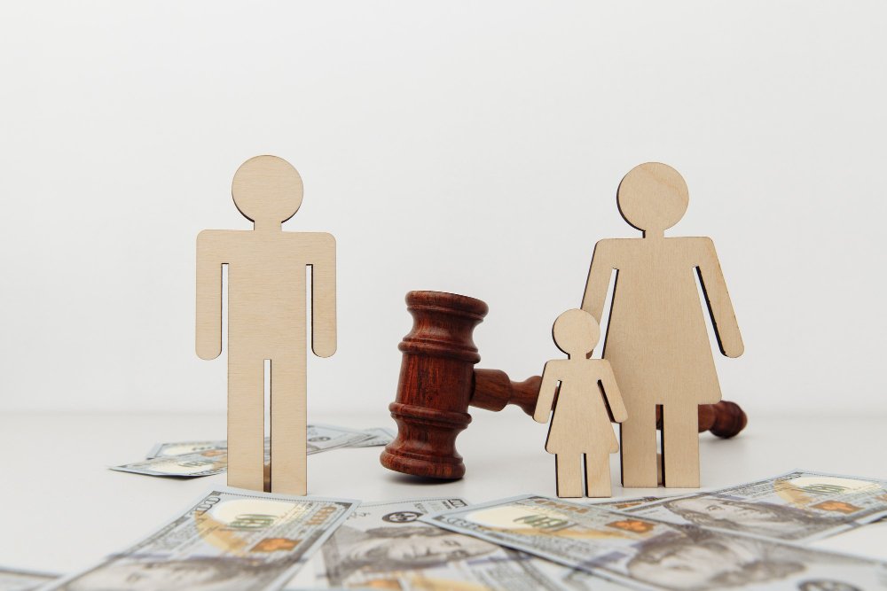 child support lawyer
