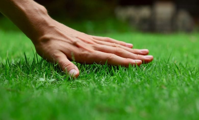 advantages-disadvantages-of-artificial-grass-explained