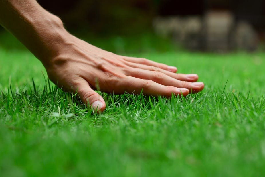 Commercial artificial grass