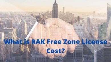 RAK Free Zone License Cost