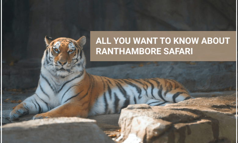 Know about Ranthambore Safari