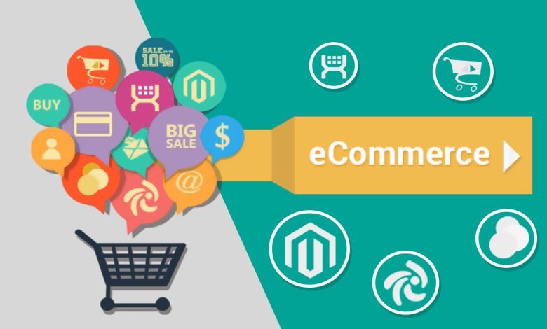 How a Web Development Company Can Help Your E-Commerce Business