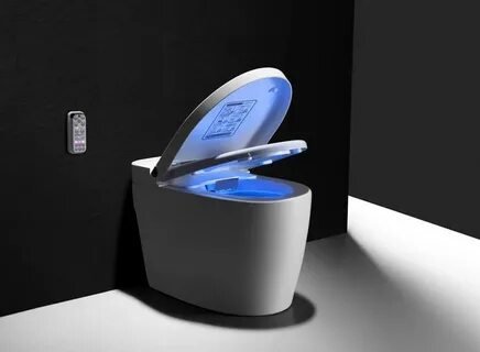 Smart Toilet Installation