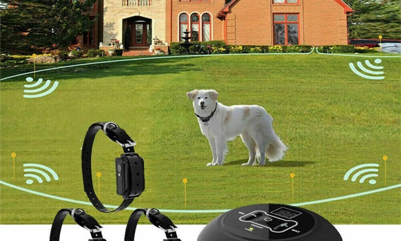 wireless electric dog fence