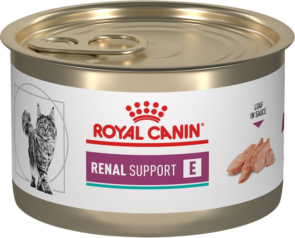 royal canin cat food