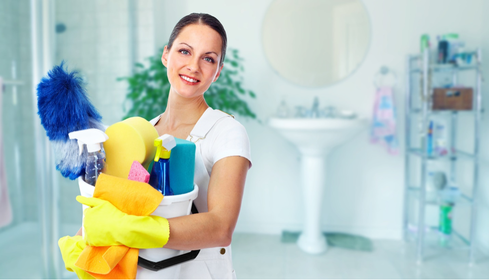 Domestic House Cleaning Services