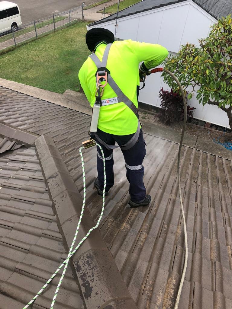 roof cleaning