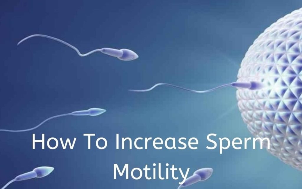 low sperm motility