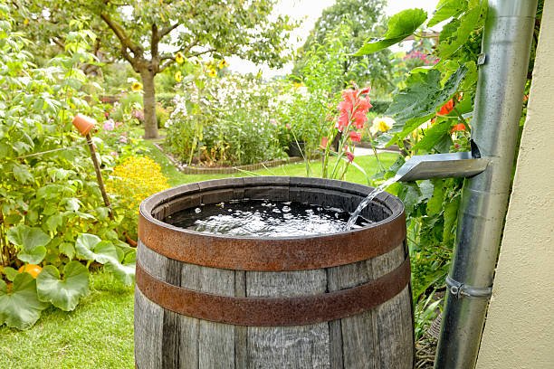 rain barrel