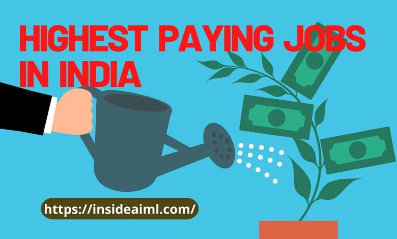 Highest Paying Jobs in India