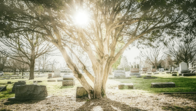 Tips for Planning the Funeral of a Loved One