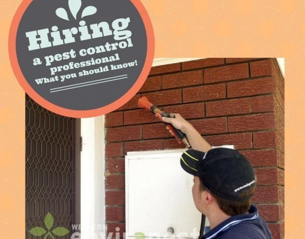 Top 5 Factors to Consider When Hiring Pest Control Services in Lakeville