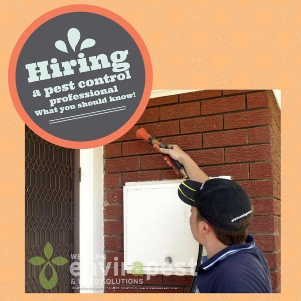 Top 5 Factors to Consider When Hiring Pest Control Services in Lakeville