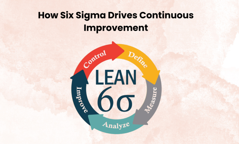 How Six Sigma Drives Continuous Improvement 